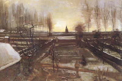 Vincent Van Gogh The Parsonage Garden at Nuenen in the Snow (nn04)